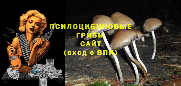 ешки Волосово