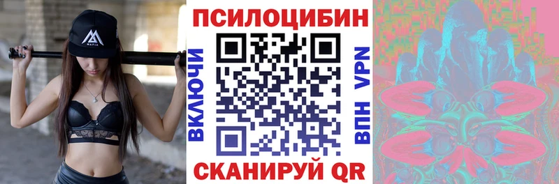 купить   Комсомольск-на-Амуре  Псилоцибиновые грибы GOLDEN TEACHER 